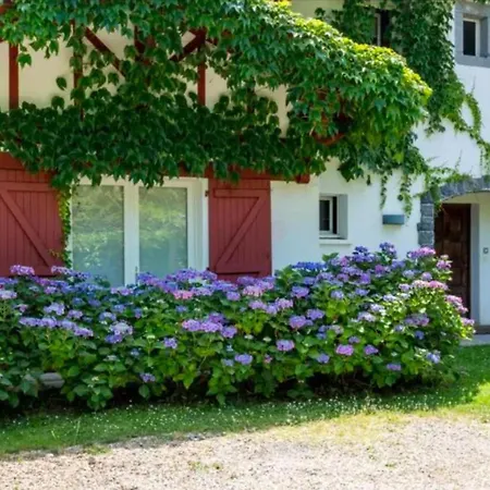 Maison D'exception A Arbonne, Piscine Privee Saisonniere. * Arbonne